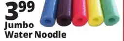 Ocean State Job Lot Jumbo Pool Noodle offer