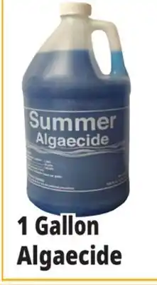 Ocean State Job Lot Summer Algaecide 1 Gal offer