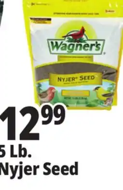 Ocean State Job Lot 5 Lb. Nyjer Seed offer
