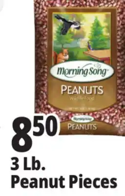 Ocean State Job Lot 3 Lb. Peanut Pieces offer