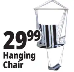 Ocean State Job Lot Hanging Chair offer