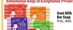 Ocean State Job Lot Goat Milk Bar Soap offer