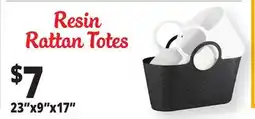 Ocean State Job Lot Resin Rattan Totes offer