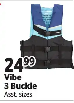 Ocean State Job Lot Vibe 3 Buckle offer