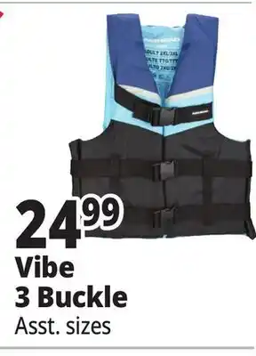 Ocean State Job Lot Vibe 3 Buckle offer