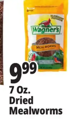Ocean State Job Lot 7 Oz. Dried Mealworms offer