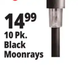 Ocean State Job Lot 10 Pk. Black Moonrays offer