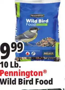 Ocean State Job Lot Pennington Wild Bird Food offer