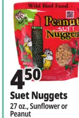 Ocean State Job Lot C&S Sunflower Suet Nuggets offer