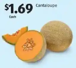 Aldi Cantaloupe offer