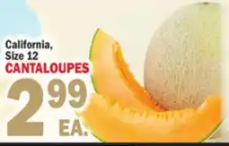 Bravo Supermarkets CANTALOUPES offer