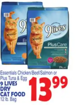 Bravo Supermarkets 9 LIVES DRY CAT FOOD offer