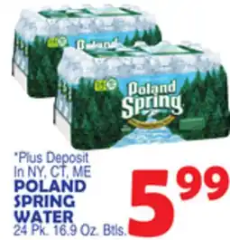 Bravo Supermarkets POLAND SPRING WATER offer