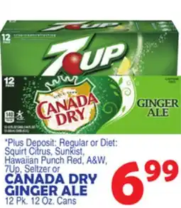 Bravo Supermarkets CANADA DRY GINGER ALE offer
