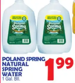 Bravo Supermarkets POLAND SPRING NATURAL SPRING WATER offer