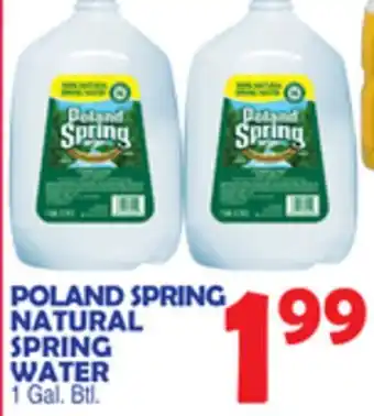 Bravo Supermarkets POLAND SPRING NATURAL SPRING WATER offer