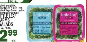C Town LITTLE LEAF FARMS SALADS offer