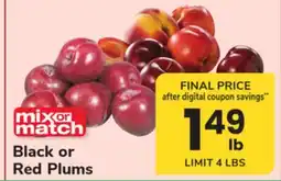 ACME Black or Red Plums offer