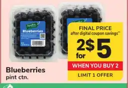 ACME Blueberries offer