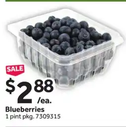 Stop&Shop Blueberries offer
