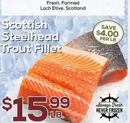 DeCicco & Sons Scottish Steelhead Trout Fillet offer