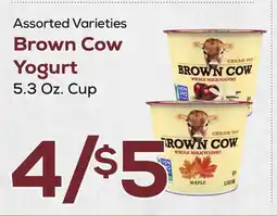 DeCicco & Sons Brown Cow Yogurt offer