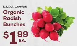 DeCicco & Sons Organic Radish Bunches offer