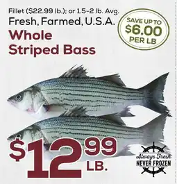DeCicco & Sons Whole Striped Bass offer