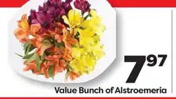 Weis Markets Bunch of Alstroemeria offer