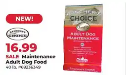 Runnings Maintenance Adult Dog Food offer