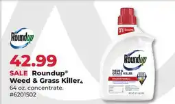 Runnings Roundup Weed & Grass Killer₄ offer