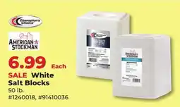 Runnings White Salt Blocks offer