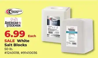 Runnings White Salt Blocks offer