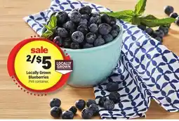 Meijer Locally Grown Blueberries offer