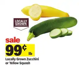 Meijer Locally Grown Zucchini or Yellow Squash offer