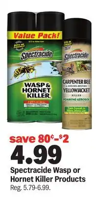 Meijer Spectracide Wasp or Hornet Killer Products offer