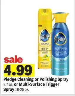 Meijer Pledge Cleaning or Polishing Spray 9.7 oz. or Multi-Surface Trigger Spray 16-25 oz offer