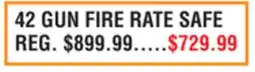 Dunham's Sports 42 GUN FIRE RATE SAFE offer