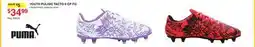 Dunham's Sports PUMA YOUTH PULISIC TACTO II CP FG offer