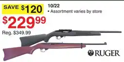Dunham's Sports RUGER 10/22 offer