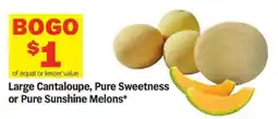Meijer Large Cantaloupe, Pure Sweetness or Pure Sunshine Melons offer
