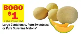 Meijer Large Cantaloupe, Pure Sweetness or Pure Sunshine Melons offer