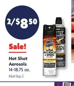 Family Dollar Hot Shot Aerosols offer