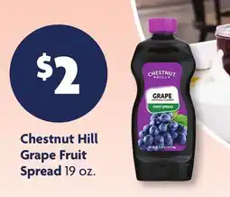 Family Dollar Chestnut Hill Grape Fruit Spread offer