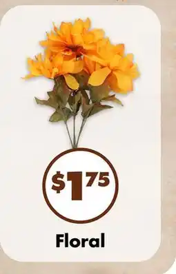 Dollar Tree Floral offer