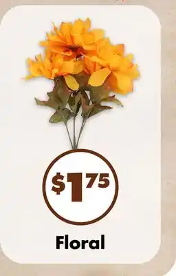 Dollar Tree Floral offer