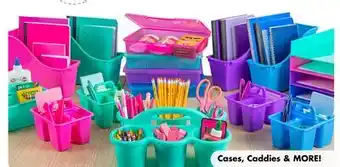 Dollar Tree Cases, Caddies & MORE offer