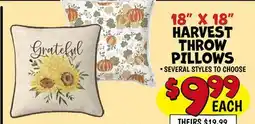 Ollie's 18 X 18 HARVEST THROW PILLOWS offer