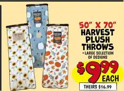 Ollie's 50 X 70 HARVEST PLUSH THROWS offer