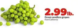 Hy-Vee Green seedless grapes offer